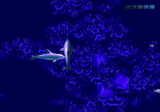 Ecco the Dolphin II (Japan)