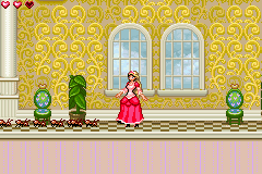 Barbie in the 12 Dancing Princesses (USA) 