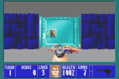 Wolfenstein 3D (USA Europe)